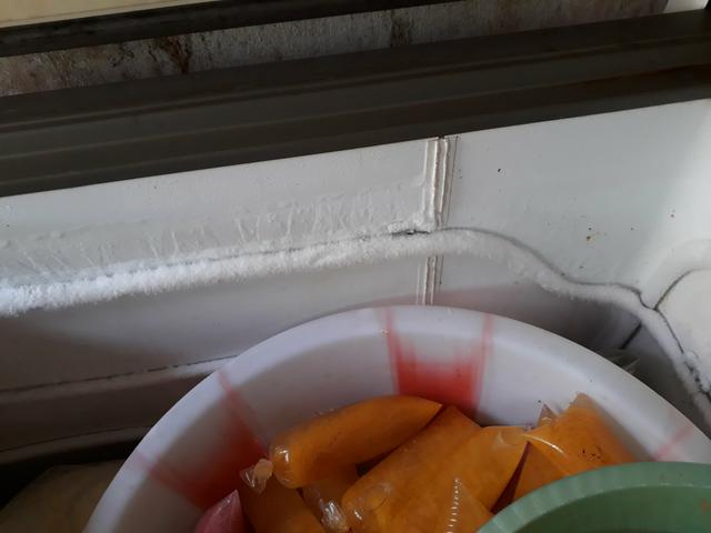 Freezer 750 - Foto 2