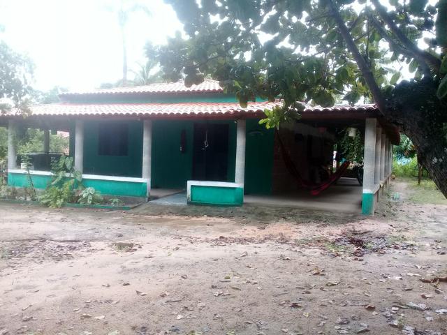 Pequeno sítio - Foto 2