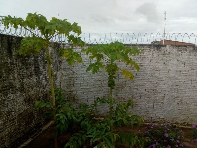 Casa a 5 minutos da UPA de Parnamirim e Atacadão - Foto 3