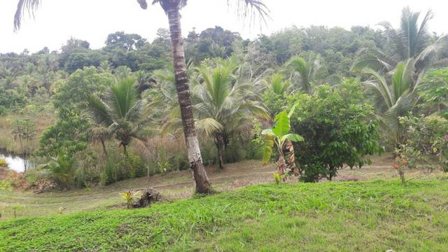 Sitio em Lençois - Foto 16
