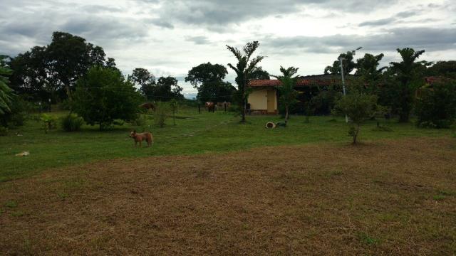 Arrendamento, Aluguel ou Venda de Chacara Estrada da Guia km14 Hidroponia, Confinamento - Foto 4