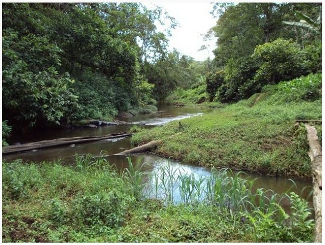 Fazenda, bairro do Japú, em Ilhéus - BA - Foto 3