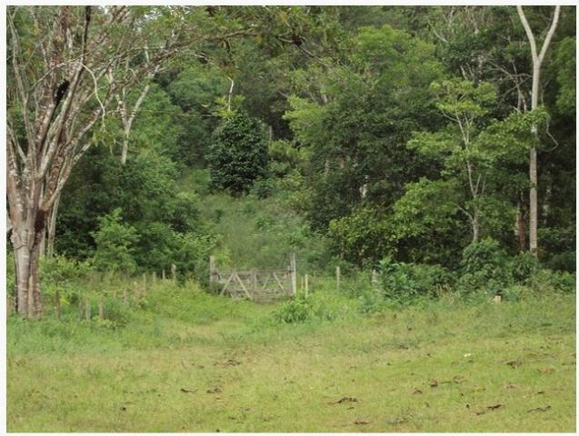 Fazenda, bairro do Japú, em Ilhéus - BA - Foto 2