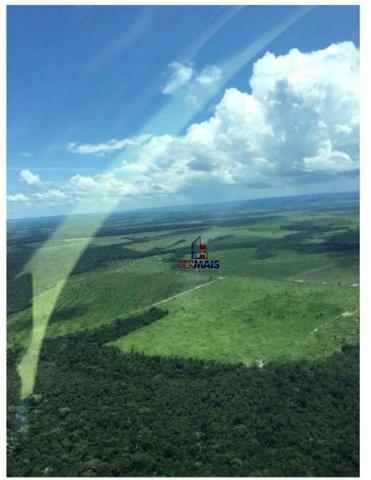 Belíssima fazenda a venda na divisa de Rondônia com o estado de mato grosso - Foto 17