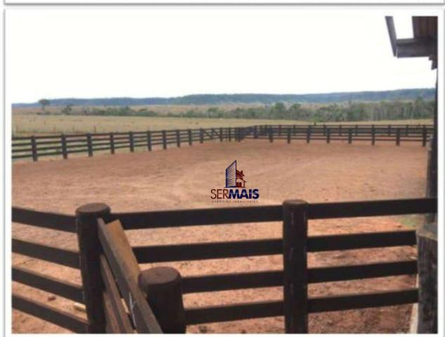Belíssima fazenda a venda na divisa de Rondônia com o estado de mato grosso - Foto 7