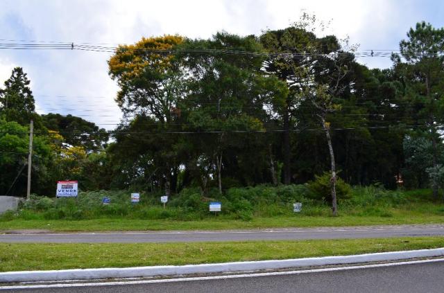 Terreno à venda, 5000 m² por r$ 3.500.000,00 - vila suica - canela/rs - Foto 13