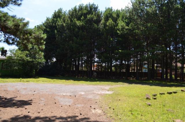 Terreno à venda, 3945 m² por R$ 3.500.000,00 - Centro - Canela/RS - Foto 10