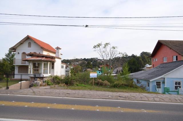 Terreno residencial à venda, são josé, canela. - Foto 2