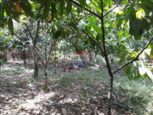 Fazenda à venda em Porto Seguro (Vera Cruz), Bahia - Foto 10