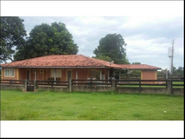 Fazenda em Cáceres 700 hectares - Foto 9