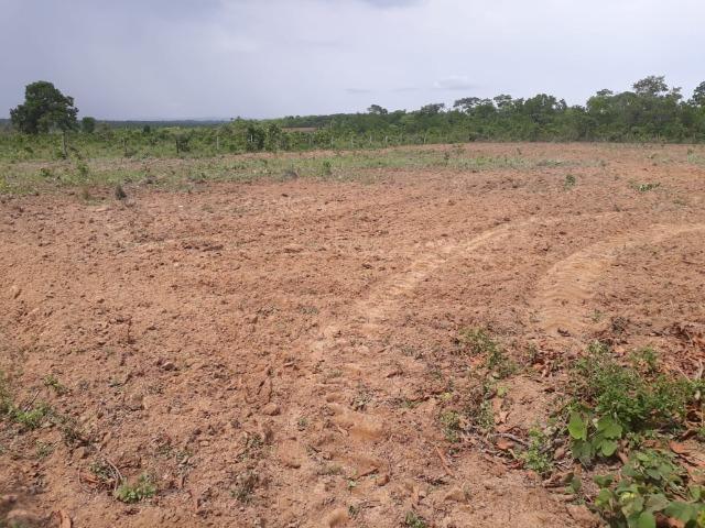Vendo Sitio / Chácara 72 hectares, Pecuária ou lavoura, Casa, energia, Agua, Nobres - Foto 9