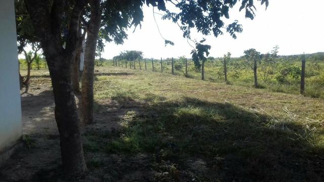 Vendo Sitio / Chácara 72 hectares, Pecuária ou lavoura, Casa, energia, Agua, Nobres - Foto 14
