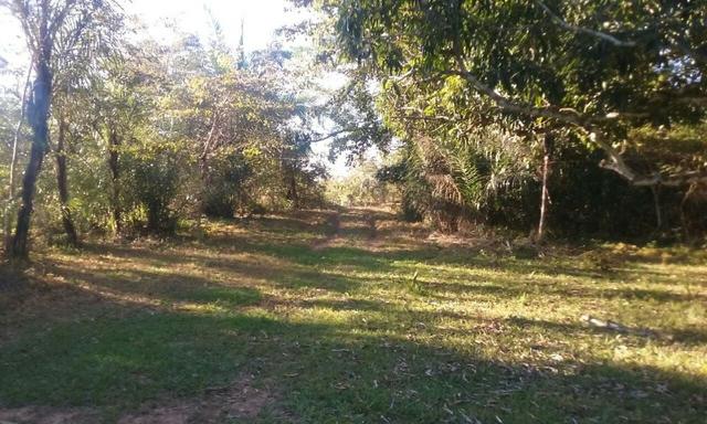 Vende-se Chaçara na Beira Rio Sepotuba - Foto 5