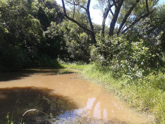 Área de terra 5,3 ha - Foto 3