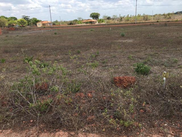 Terreno em José de Freitas-PI - Foto 5
