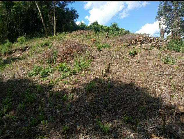 Terreno no Vale dos Vinhedos - Foto 5