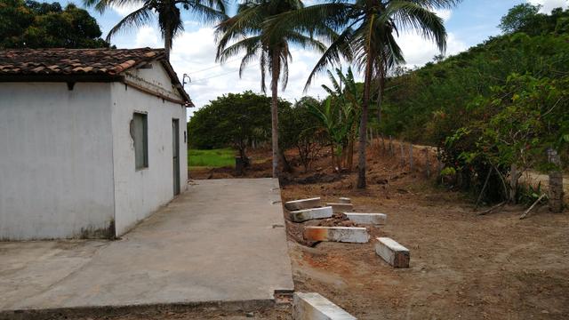 Sítio - União dos Palmares - Foto 11
