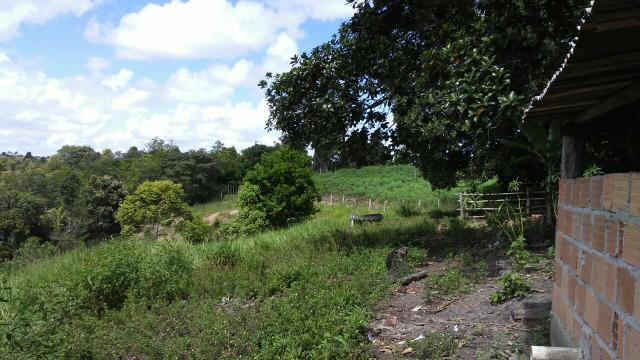 Sitio