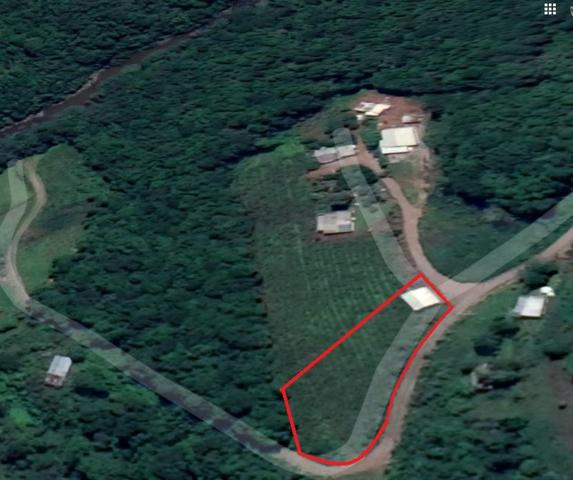 Chácara São Gotardo de Ana Rech 2500m Rio São Marcos 1/4ha