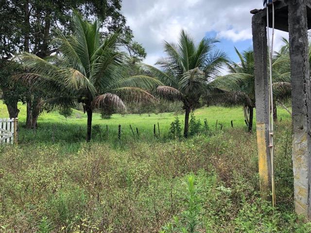 Fazenda Rio Branco - Foto 15