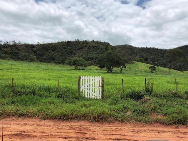 Fazenda Rio Branco - Foto 2