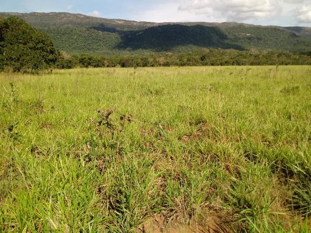 Fazenda de 785 hectares em Rosário Oeste MT - Foto 7