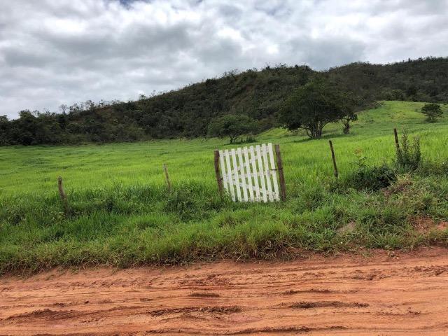 Fazenda Rio Branco - Foto 19