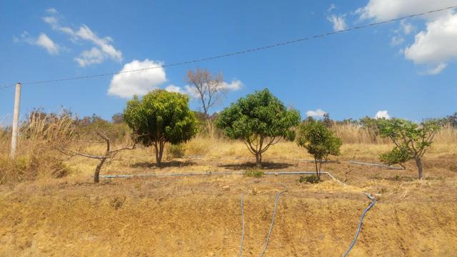 Chácara 6.2 alqueires ( 30 ha ) Águas Lindas-GO 80% permutas - Foto 13