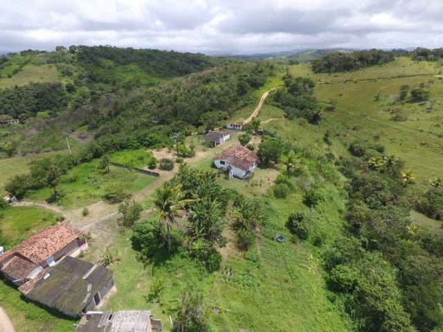 Sítio 7 Hectares - 5 Nascentes em Chã Grande
