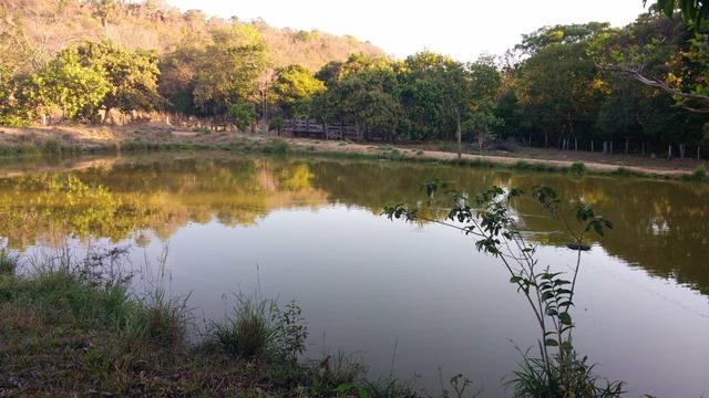 Fazenda em novo acordo - Foto 5