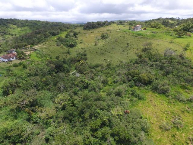 Sítio 7 Hectares - 5 Nascentes em Chã Grande - Foto 9