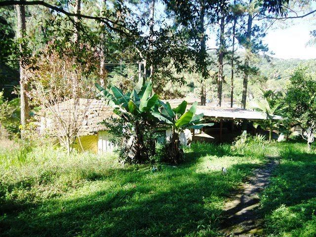 Chacara para Locação - Foto 10