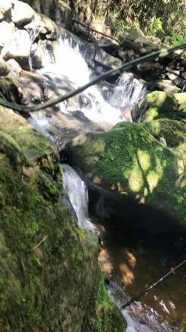 G Cód 286 Sítios e Áreas Maravilhosas em Friburgo!!! - Foto 5