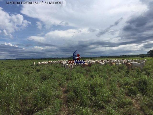 Fazenda à venda, por R$ 21.000.000 - Lagoa da Confusão/TO - Foto 9