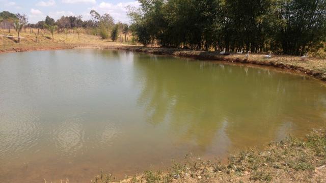 Chácara 6.2 alqueires ( 30 ha ) Águas Lindas-GO 80% permutas - Foto 6