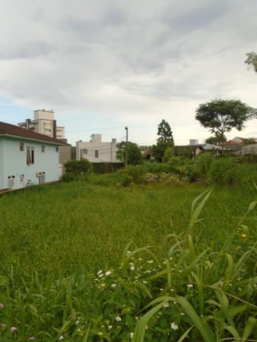 Terreno para alugar em Santo antonio, Joinville cod:07792.003 - Foto 2