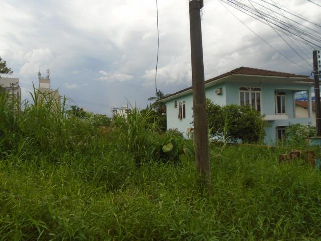 Terreno para alugar em Santo antonio, Joinville cod:07792.002 - Foto 5