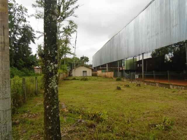 Terreno para alugar em America, Joinville cod:05753.004 - Foto 14