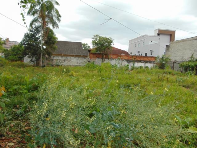 Terreno para alugar em Saguacu, Joinville cod:06691.011 - Foto 6