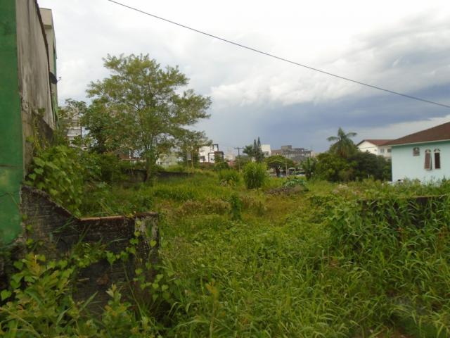 Terreno para alugar em Santo antonio, Joinville cod:07792.001 - Foto 6