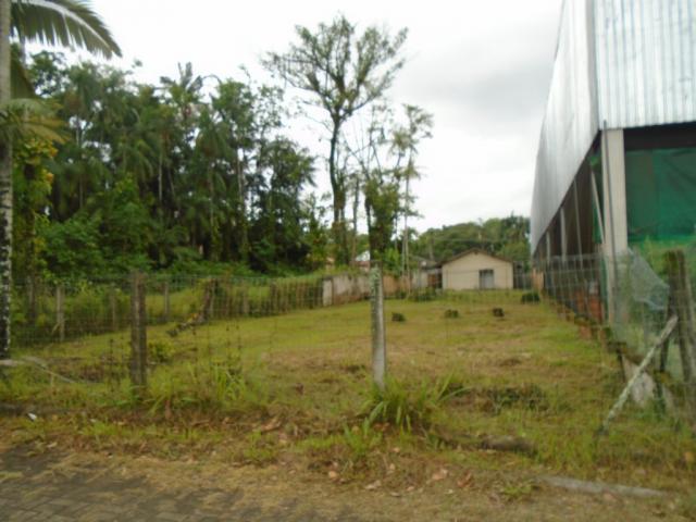 Terreno para alugar em America, Joinville cod:05753.004 - Foto 10