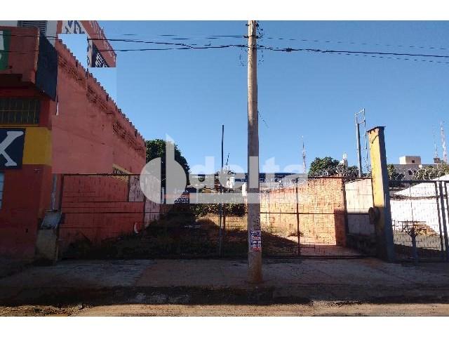 Terreno para alugar com 0 dormitórios em Umuarama, Uberlândia cod:567245 - Foto 5