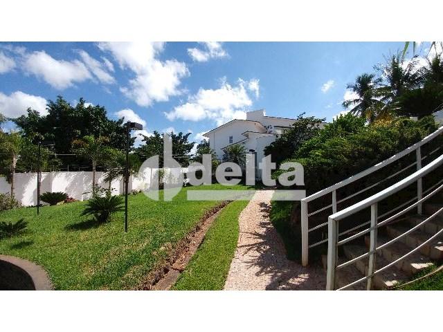 Casa para alugar com 0 dormitórios em Patrimônio, Uberlândia cod:559204 - Foto 3
