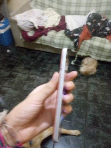 Celular Galaxy j2 prime 16 g