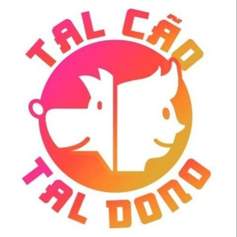 Suéter Inverno - Tal Cão, Tal Dono - Foto 6