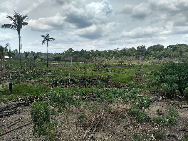 Vendo sitio no lago da samuel 50 mil - Foto 9
