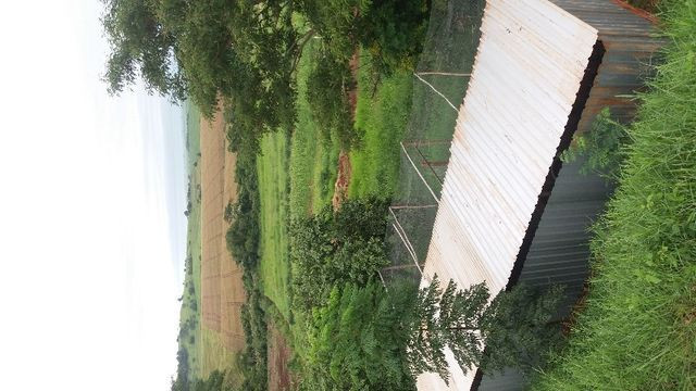 Chácara - Foto 3