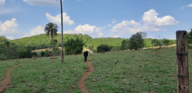 Fazenda 38 Alqueires em Bela Vista - Foto 8