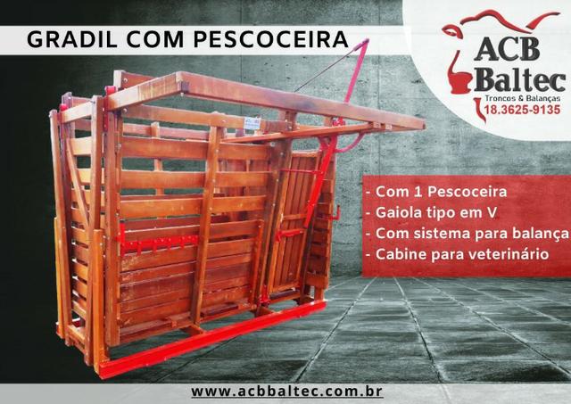 ACB Baltec - Balança bovina com Pescoceira