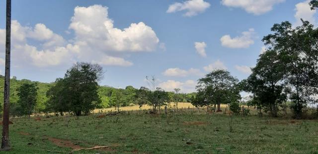 Fazenda 38 Alqueires em Bela Vista - Foto 5